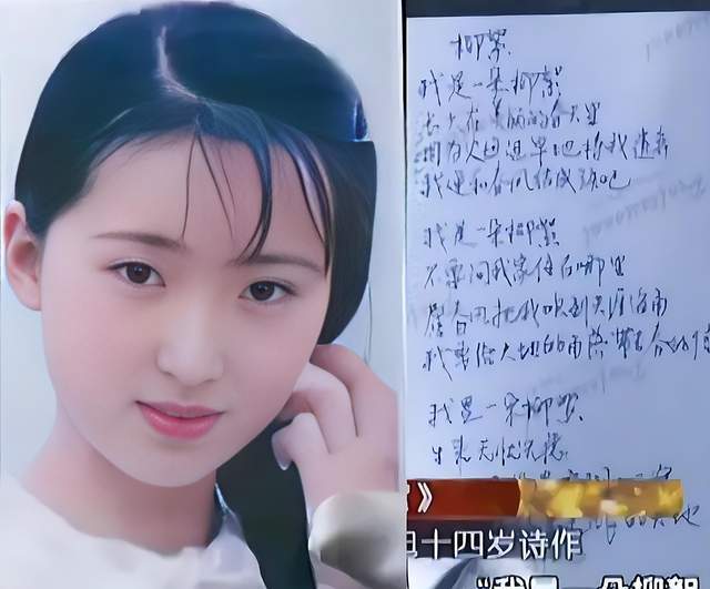 陈晓旭与毕彦君结婚照