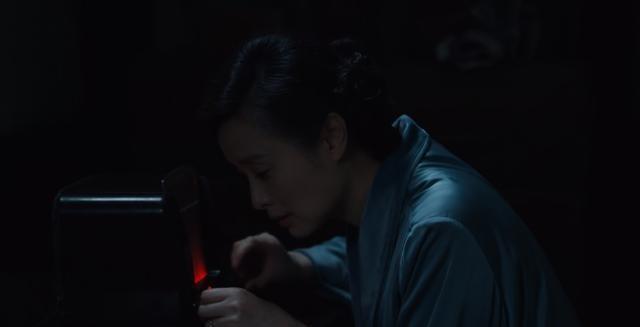 《沉默的荣耀》朱枫的致命失误：女婿出卖背后的真相揭秘