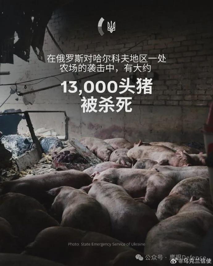 1.3万头猪遭炸死，乌克兰反击威胁莫斯科断电，俄炼油厂再遭袭