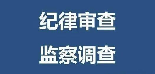 中央巡视后，广西、重庆、广东三地厅官相继落马
