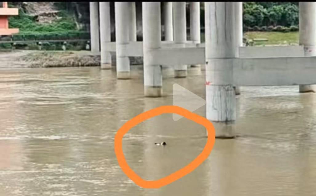 陕西旬阳新郎婚礼当天跳河事件：彩礼纠纷背后的深层原因