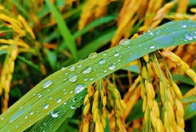 两性关系揭秘：为何70%的情人关系撑不过一年？