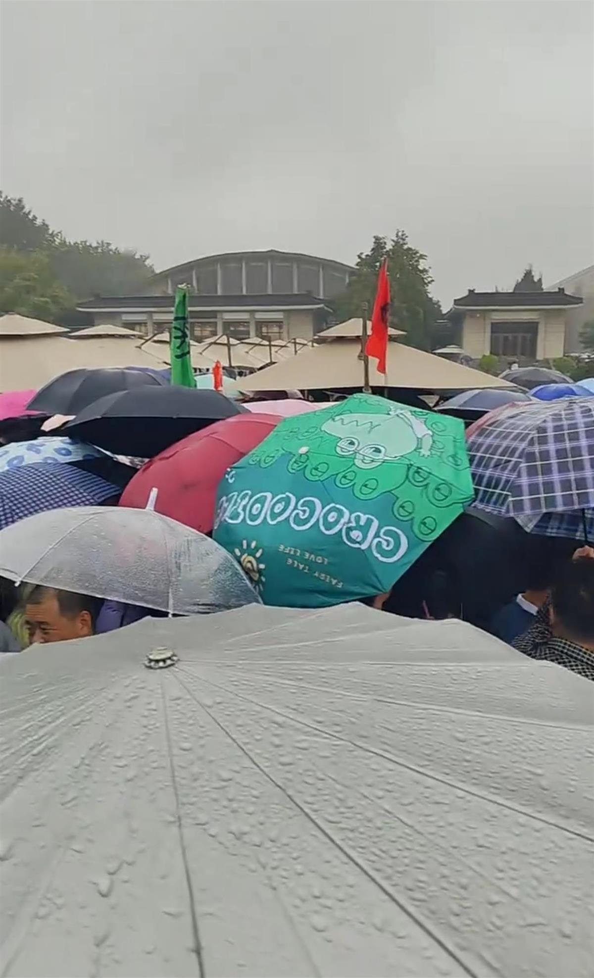 兵马俑景区国庆爆满，雨天“挤伞”模式开启，建议错峰游览