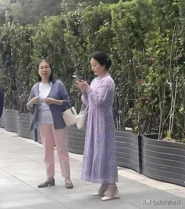 65岁刘亦菲妈妈惊艳亮相，美貌不减当年引热议