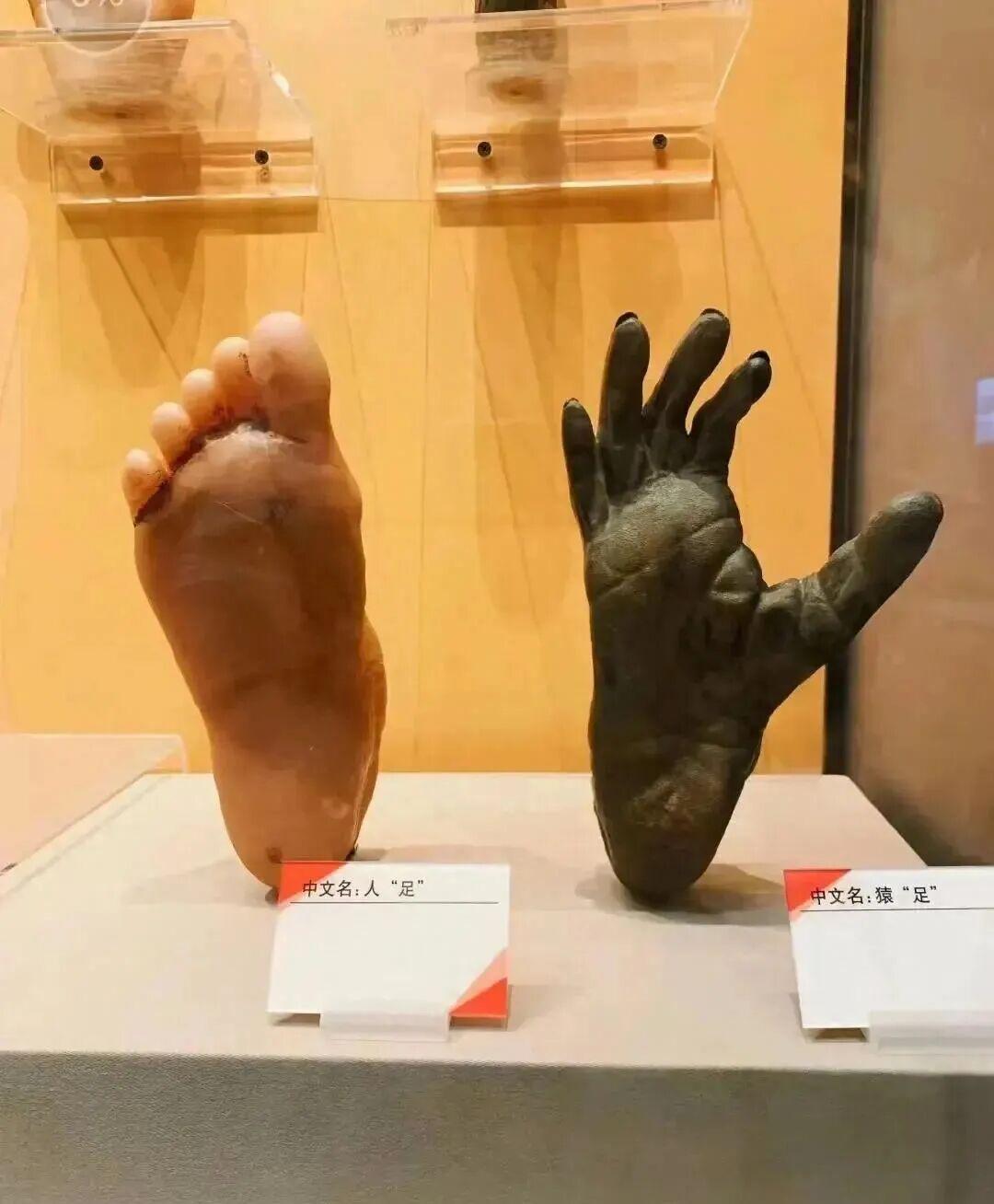 看完这32张对比图，我才彻底明白，没有对比，真的是没有伤害