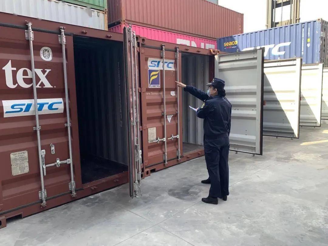 立刻防疫消毒! 黄岛一进境空集装箱内发现5000多只, 毒液堪比硫酸
