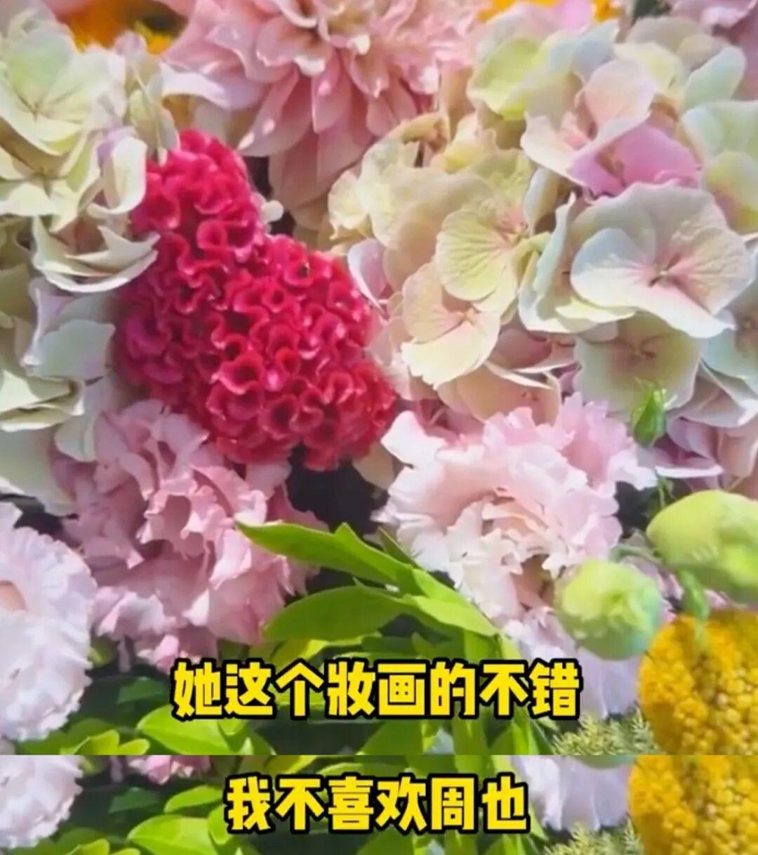 王诗龄三大平台评论区沦陷，李湘沉默引发舆论风暴