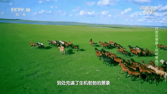 带孩子了解中国，这11部纪录片不容错过