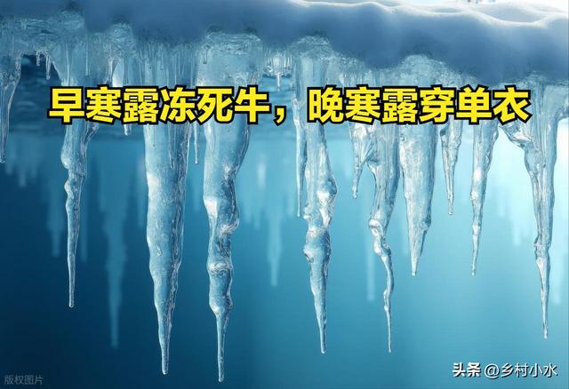 “早寒露冻死牛，晚寒露穿单衣”，今日寒露，今年冬天会很冷吗？