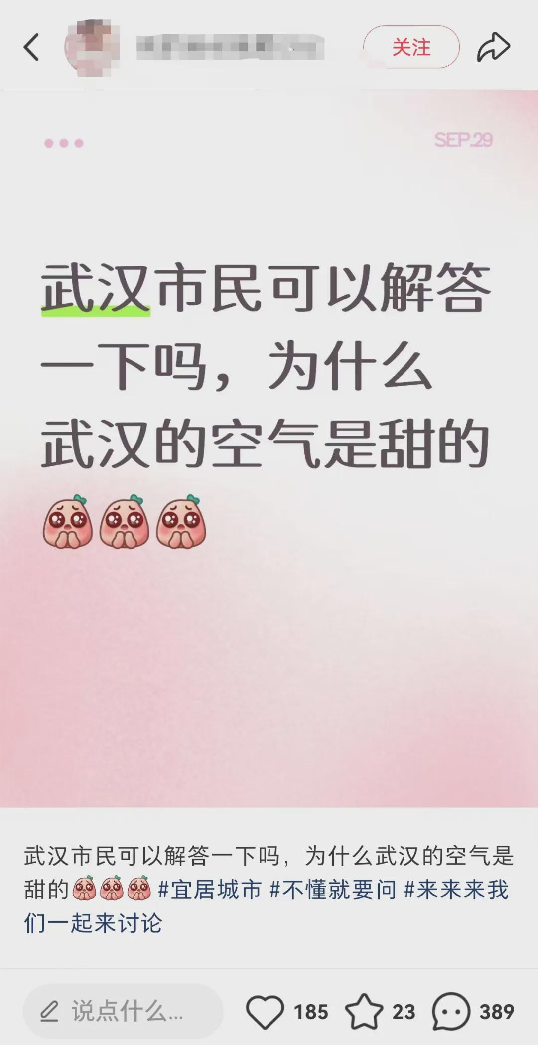 武汉桂花盛开