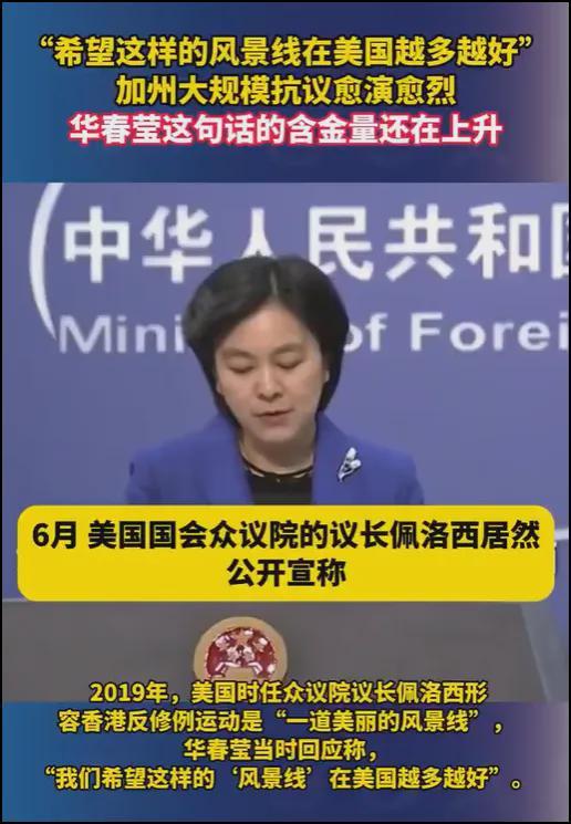 佩洛西陷入两难：高志凯预言成焦点