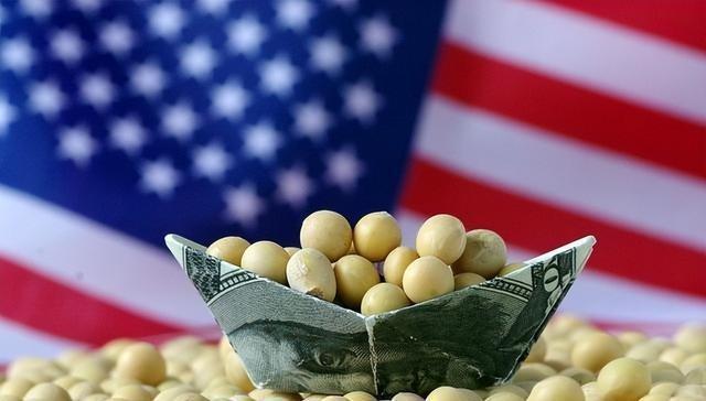 中美贸易新动向：中方取消美豆订单，特朗普政府紧急应对