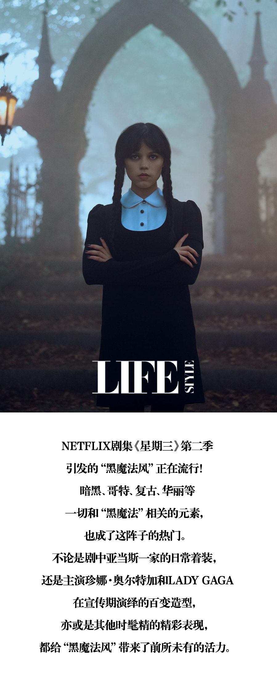 请叫她们为黑魔法界的“主理人”