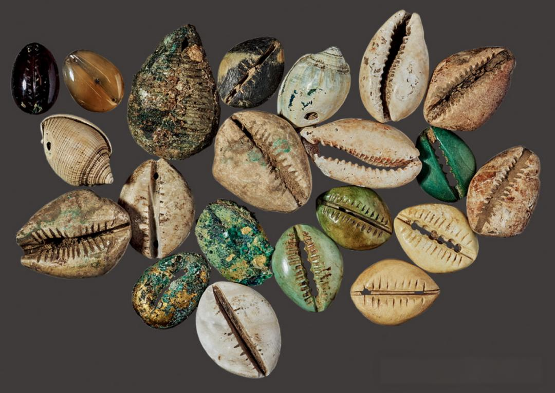 古代贝壳，一串能买个奴隶，为啥没人去海边捡？古人：你捡个试试