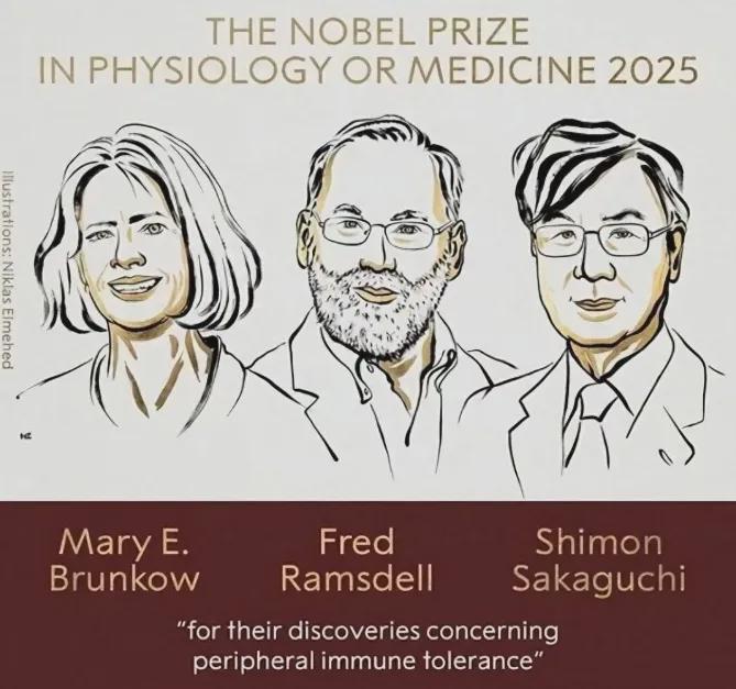 日本诺奖与马克思主义起源争议：从易经到自我胜利的逻辑