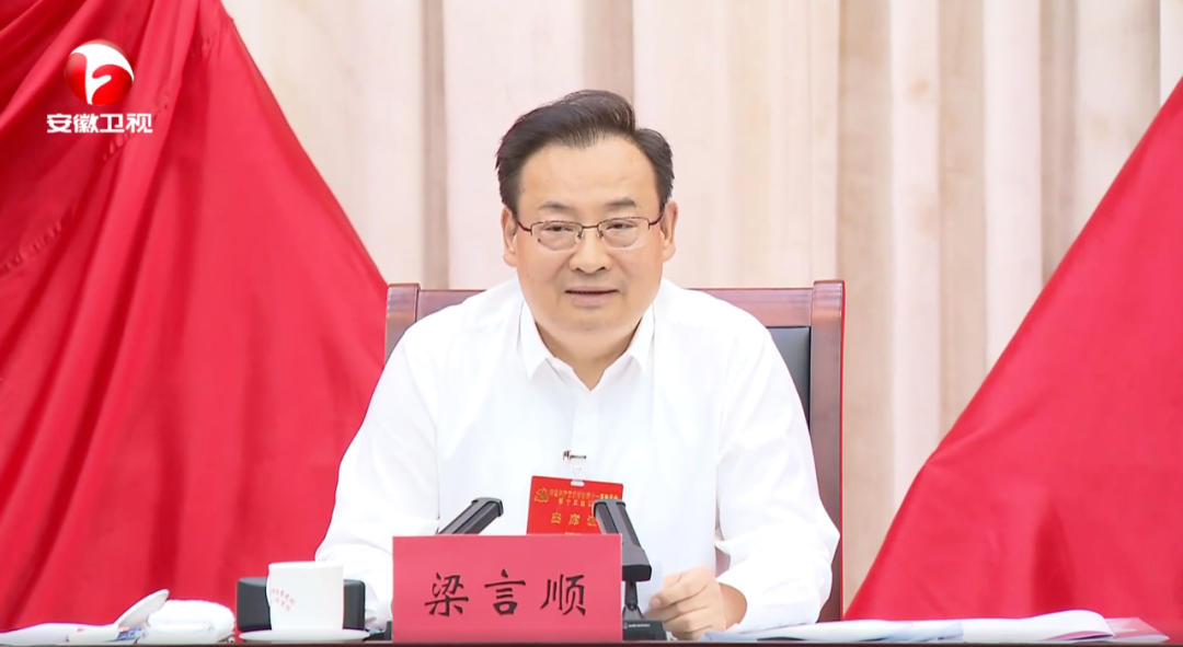 安徽省委书记率团赴德摩开展经贸交流，深化国际合作