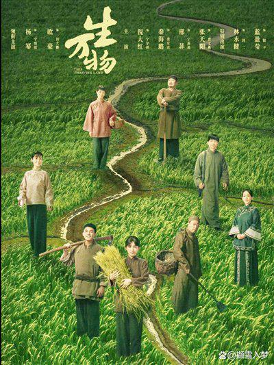 编剧必看：年代剧创作中的数字细节处理指南