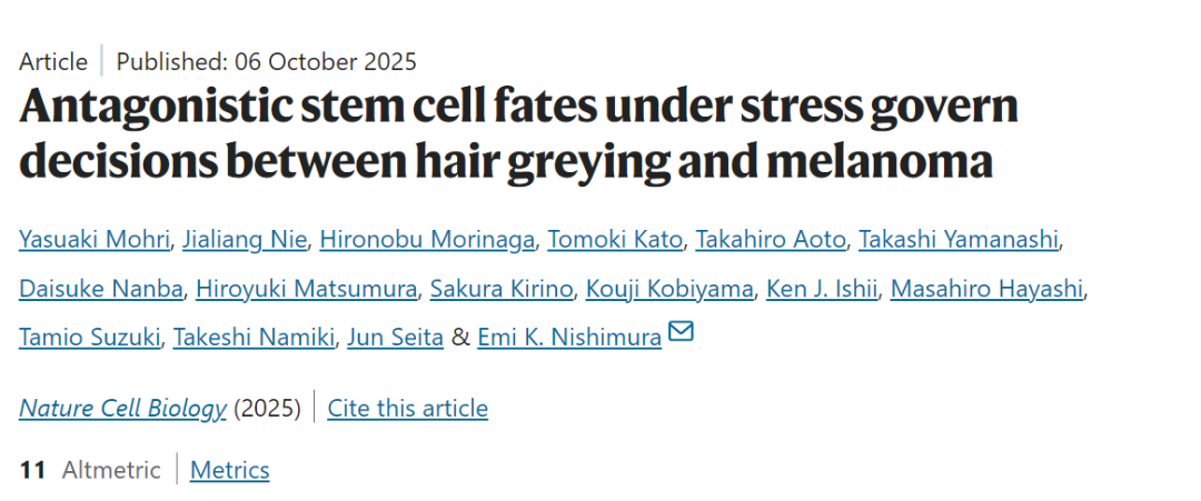 白发或为抗癌信号？《Nature》子刊揭示头发变白与癌症的关联