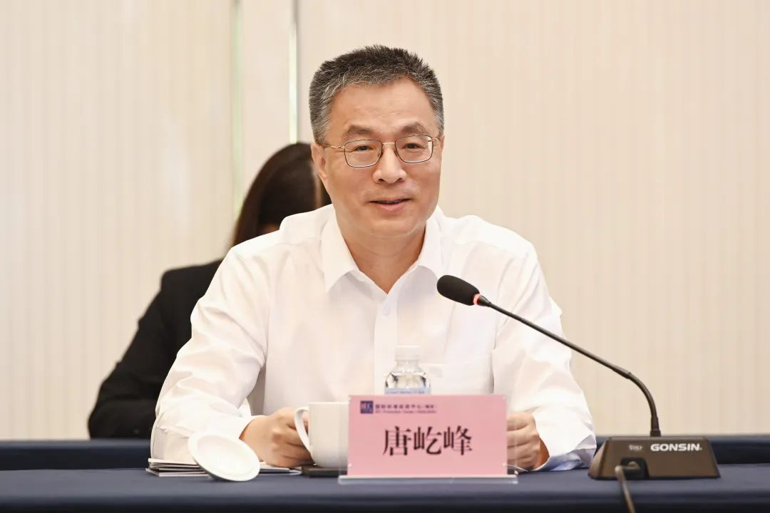 唐屹峰履新广东省副省长，曾任职南方电网及佛山要职