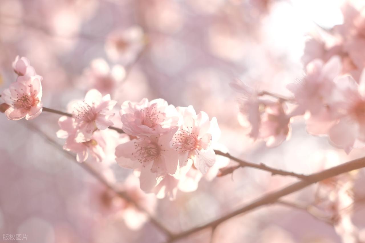 罪恶之源3：夜总会风波，大海举报引阿sir出动