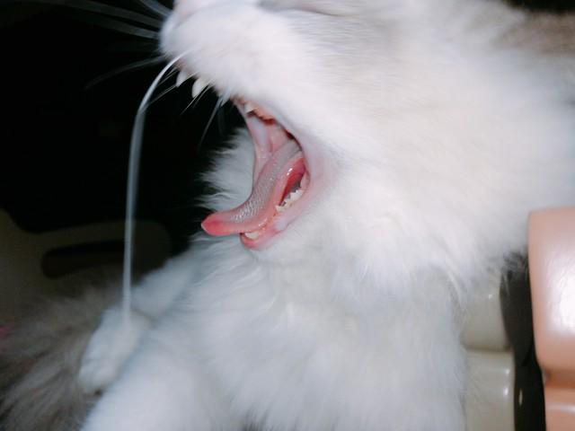 罪恶之源2：小瘪子夜总会风波，不听劝告终酿冲突