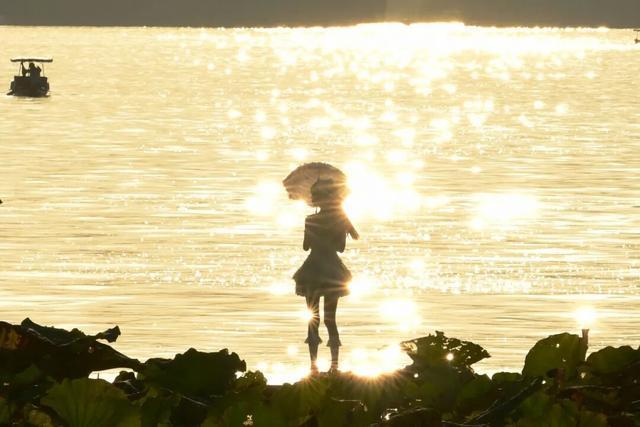 浙江降温倒计时！直降15℃冷空气18日抵达，高温终结在即