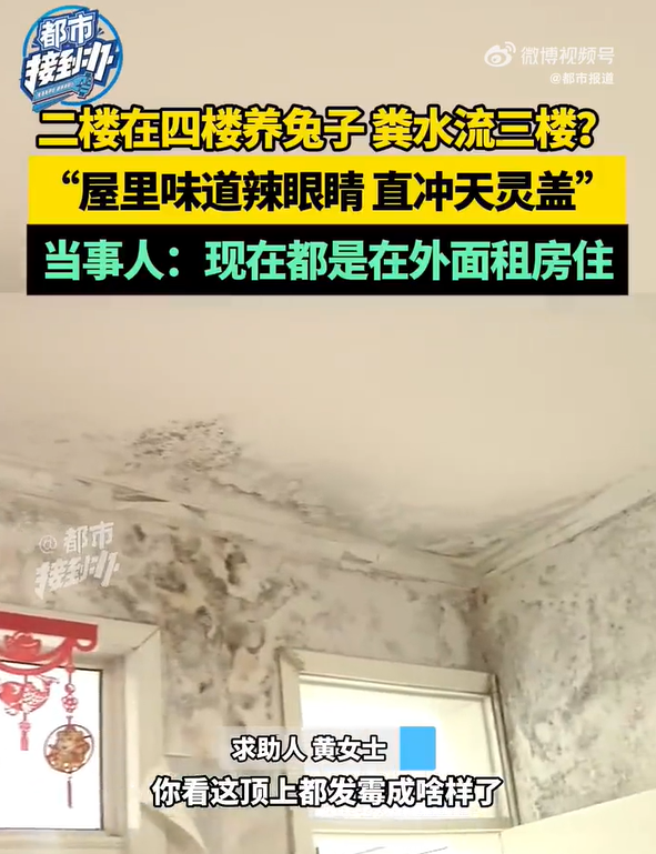 2楼住户“因3楼漏水”去4楼养兔子大鹅，3楼业主：兔子尿流进我家，味道直冲天灵盖；2楼业主：我们是被逼的