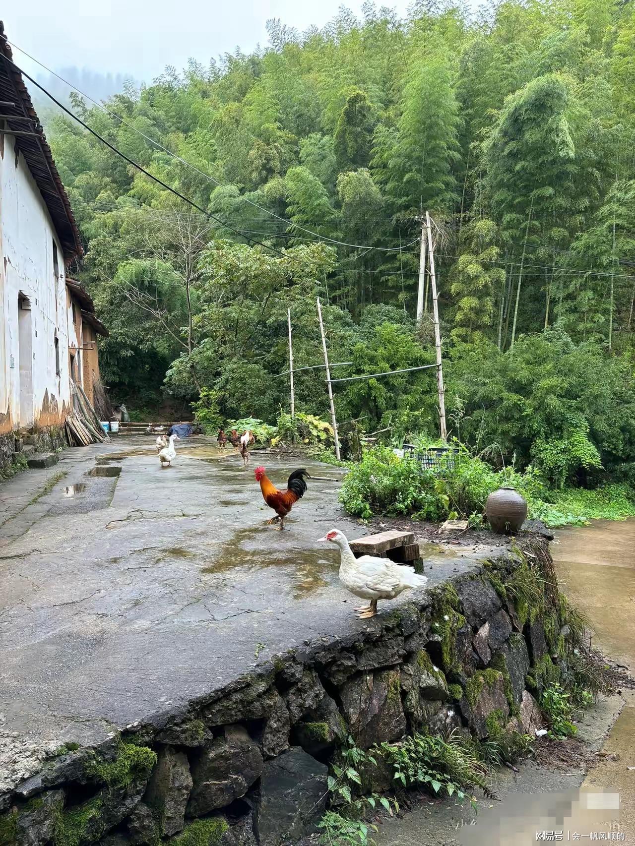 成年后我才领悟：父亲这边的亲戚，和母亲那边的亲人，是不一样的