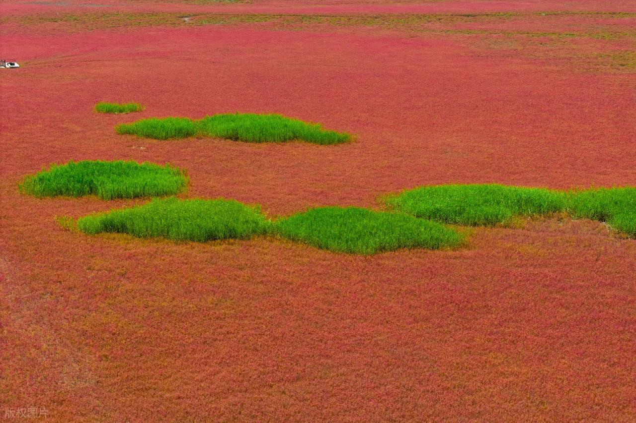 赌场风波第7集：加代携兄弟紧急驰援盘城