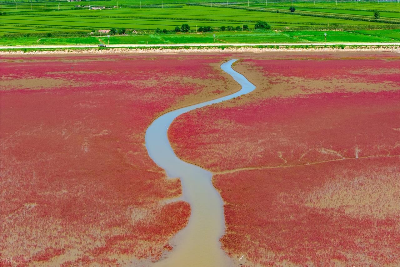 赌场风波第六季：刘佩军的疯狂报复行动