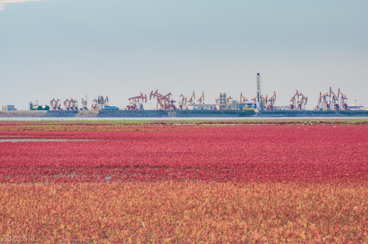 赌场风云：赵三豪赌连赢七十万
