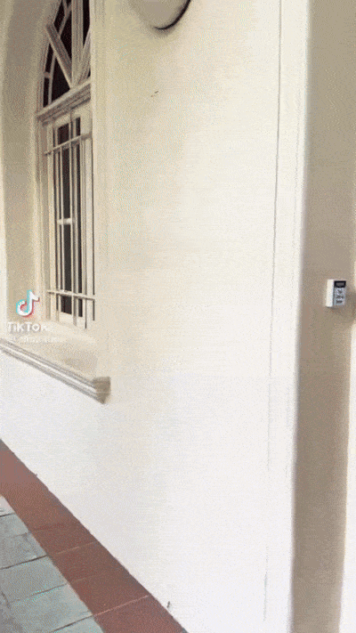 周受资重返母校华侨中学，网友热议其新加坡身份