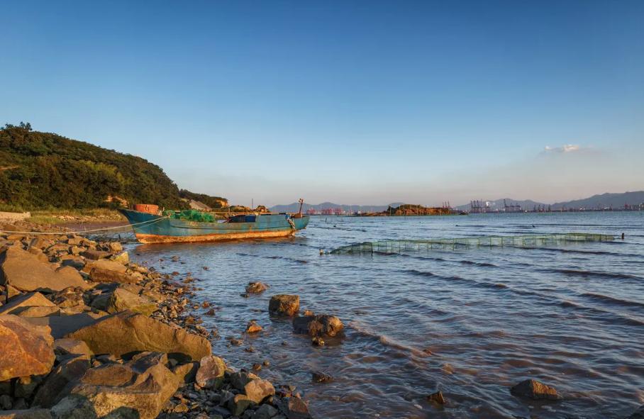 绝迹30年重现浙江！水獭再现海岛，男子三年收集175袋粪便