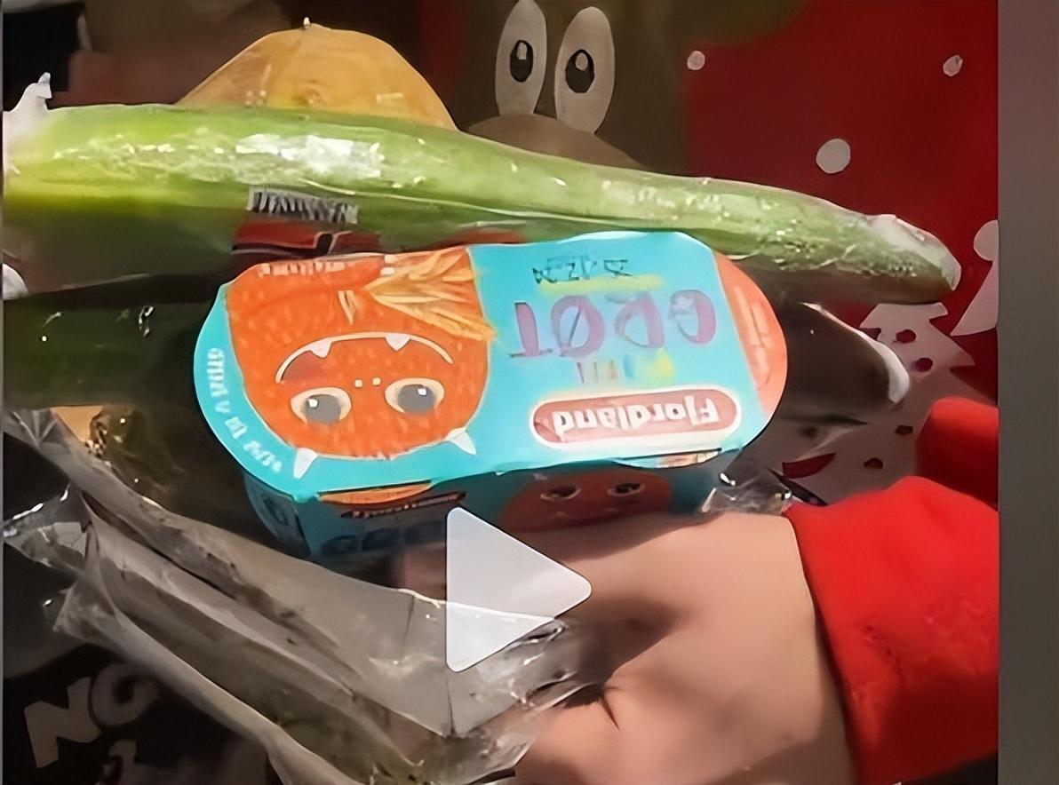 用捡来的食材烹饪