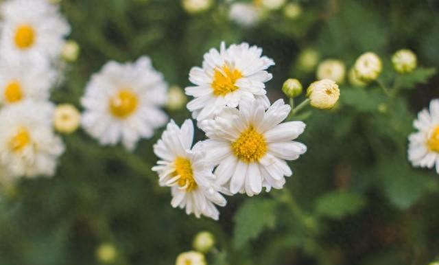 退休后要守口如瓶：这三件事千万别说，否则后悔莫及