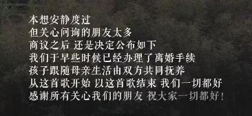 李亚鹏又离婚了！一个明星经商+婚姻双重失败的缩影