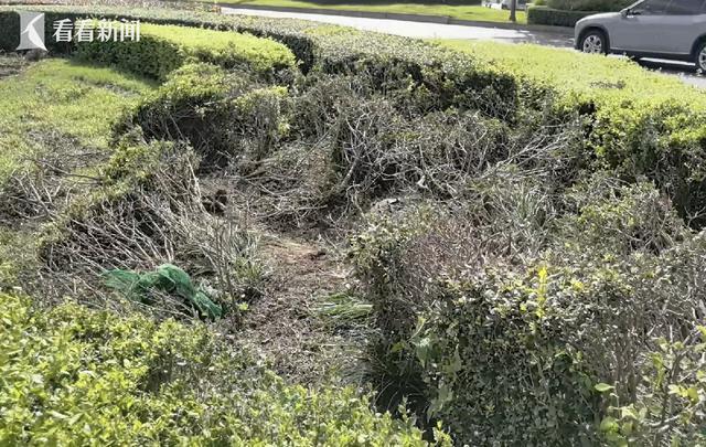 成都天府大道一小米SU7碰撞起火 驾驶员不幸遇难