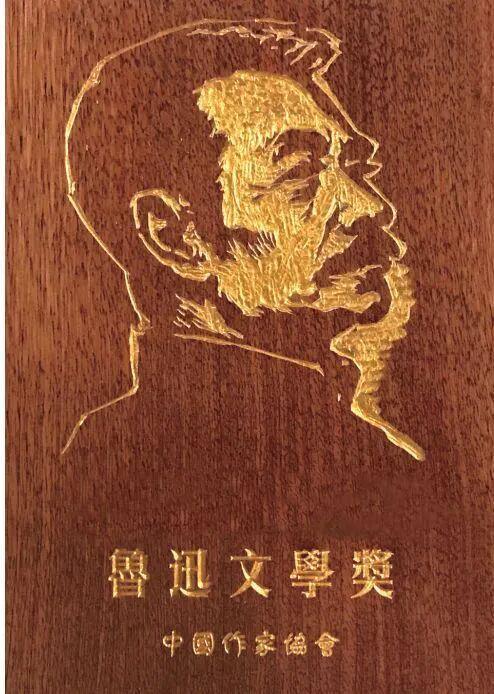 鲁迅文学奖提名作品被指抄袭，文学界再掀争议