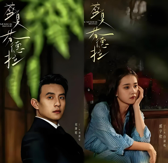 《盛夏芬德拉》播放量破30亿：为何错过真爱的人都爱看？