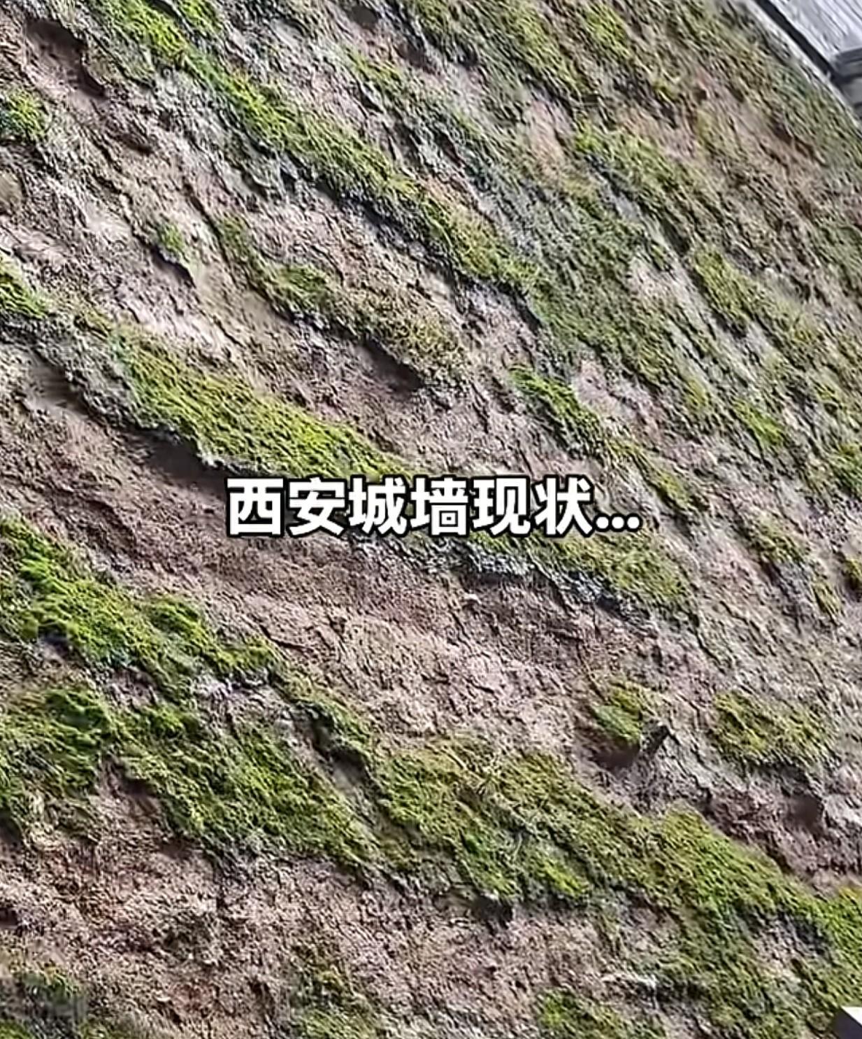 西安阴雨连绵39天，网友：家门口体验烟雨江南，锅巴都不脆了！