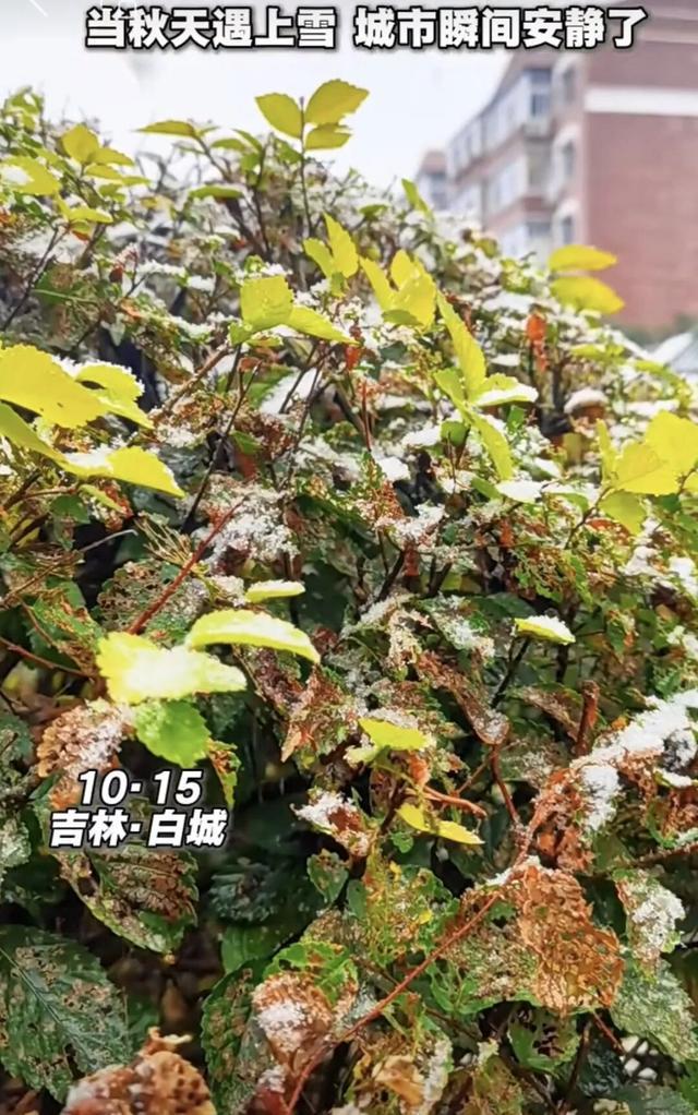 吉林省今冬首场雪来袭！中雪、雨夹雪天气预警