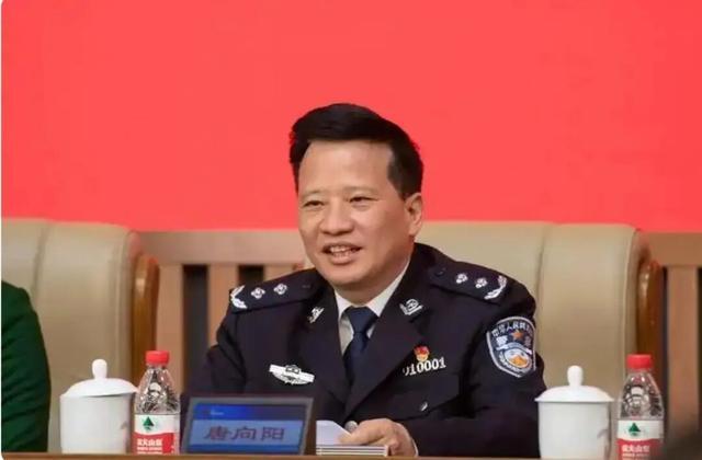 长沙市原副市长、公安局原局长唐向阳涉嫌受贿被逮捕