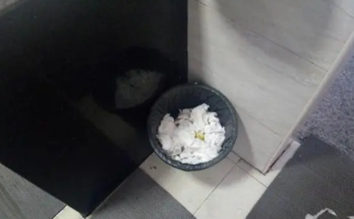 湖南19岁男生与母亲新疆自驾游，父亲发现异常后崩溃