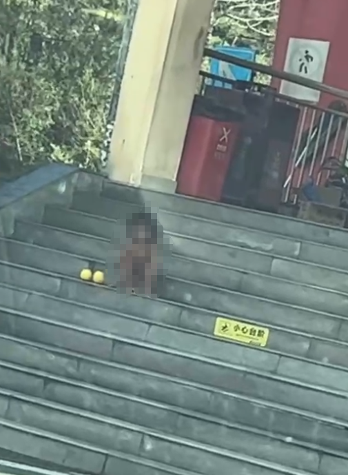 四川高速现‘野人小孩’？多方回应：系正常家庭，放养式教育