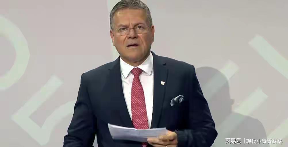 稀土牌一出，29国对华发难，3架专机就绪，中方已有破局之道