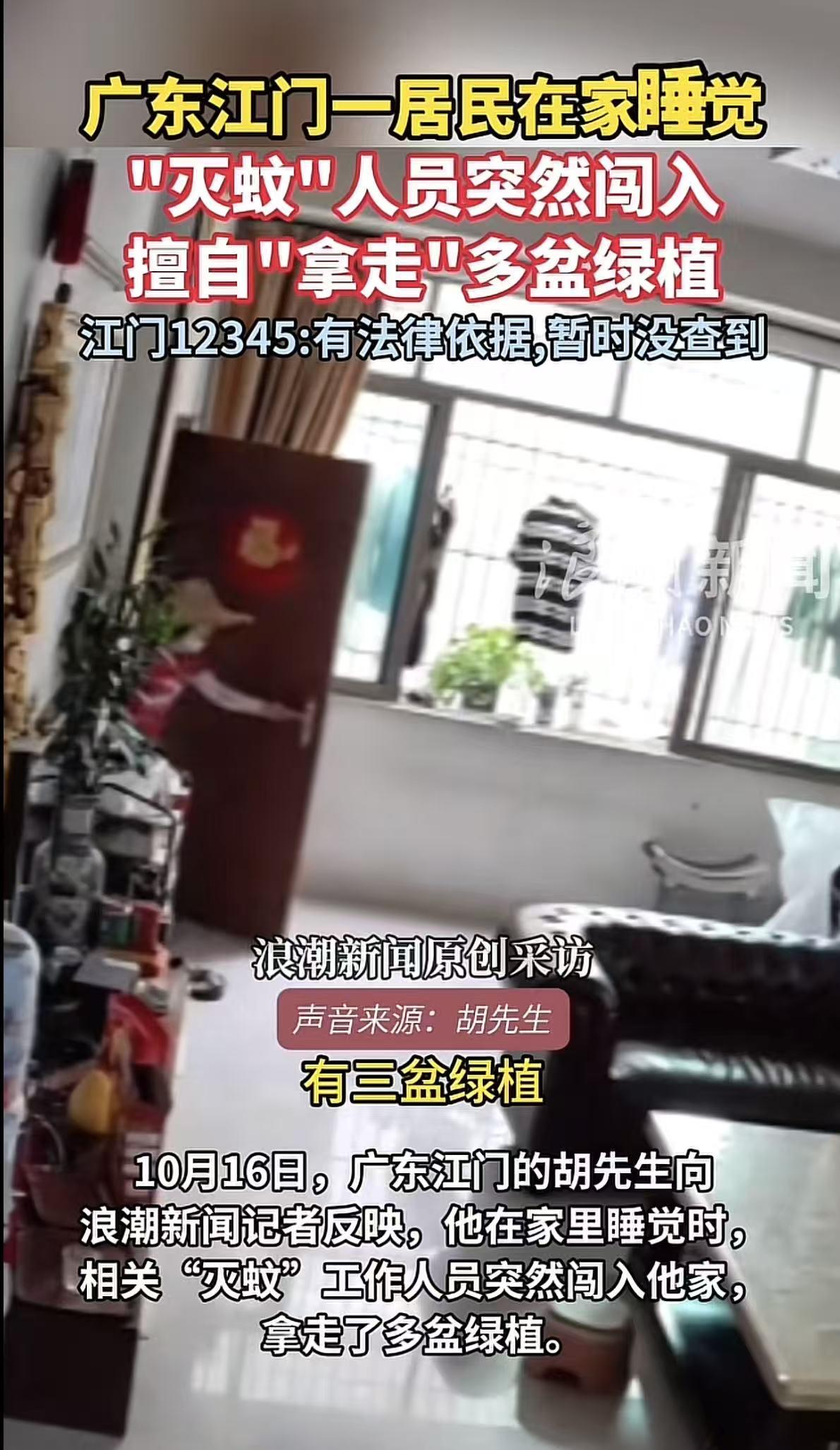 广东江门灭蚊人员擅闯民宅拿绿植，强制开锁引争议