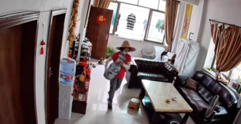 广东灭蚊行动引争议：灭蚊人员未经允许闯入搬走绿植