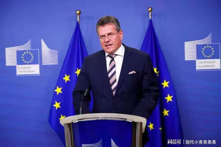 31国跟随美国遏华，法国第一个“叛变”，王毅外长送给欧盟两句话