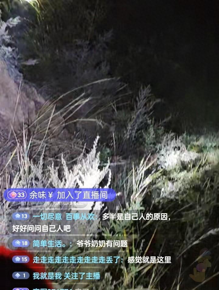 辽宁4岁女童走失最新进展：网友火车上疑似偶遇，搜寻仍在进行