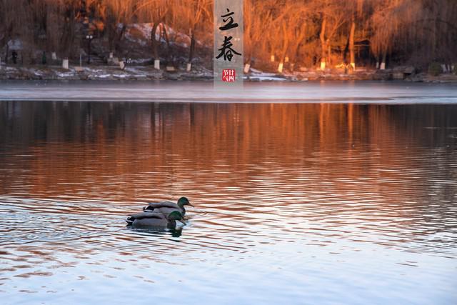 2026年立春时间解析：特殊年份的立春现象与准备建议